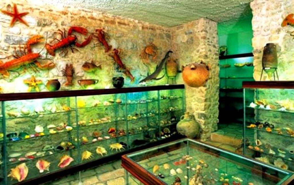The Malacological Museum in Makarska