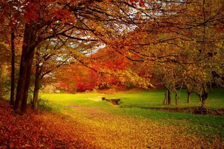 Colors in Nature, Autumn Holidays